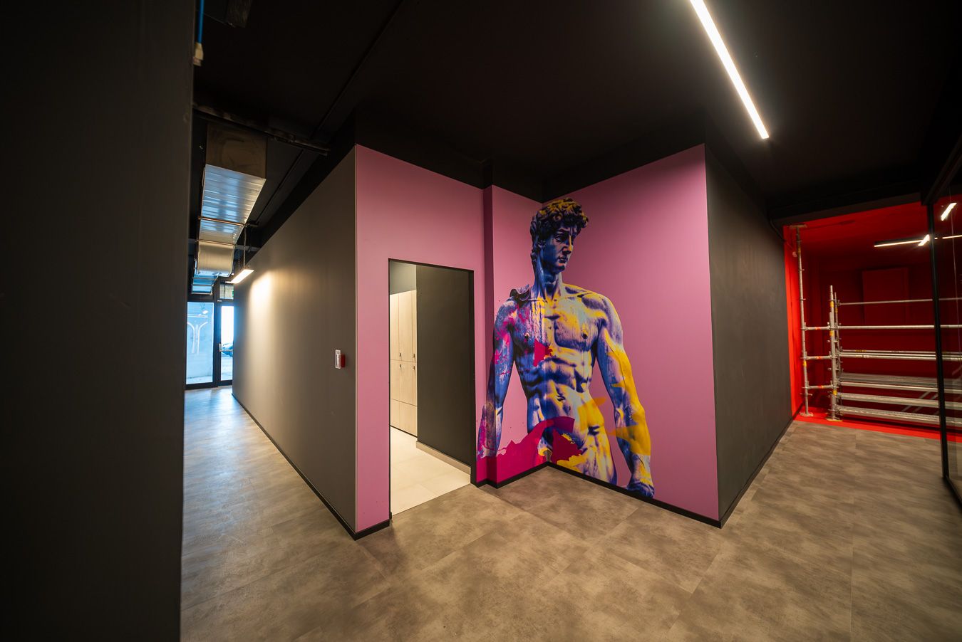 Connettivo — il David
